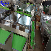 Kleine fruit sorteermachine, fruit- en groentesorteermachine