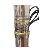 Pompe pour puits profond 1 pouce 80m tête haute 750w Contrôle externe Pompe submersible pour puits profonds solaire en acier inoxydable