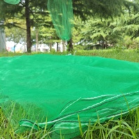 Op Maat Gemaakte Datum Mesh Tas Voor Het Beschermen Van Dadelvruchten Groene Of Witte Palmboom Mesh Tas Met Zwart Trekkoord