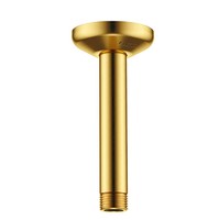 Bras de douche droit en laiton pour montage au plafond, accessoire de robinetterie de salle de bain, bras extensible