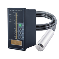 Capteur de niveau submersible pour puits profond en acier inoxydable 30M 50M 100M avec protection IP68 pour réservoir d'eau