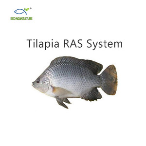 ECO เครื่องจักรการเกษตร/สถานรับเลี้ยงเด็ก/โรงเพาะฟัก/เติบโตออกจากระบบ Ras - Product Image 1
