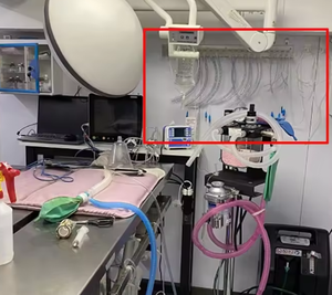 <span class=keywords><strong>Stent</strong></span> bronchiale e tracheale supporto tubo endotracheale a parete strumento veterinario in acciaio inox ET tubo appendiabiti - Product Image 6