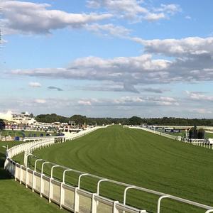 Paneles blancos de PVC para vallas de caballos para competiciones de saltos con diseño de piquete y puertas para arenas al aire libre - Product Image 6