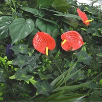 Dekorasi Dinding Rumput Buatan Ramah Lingkungan Indoor/Outdoor Grosir Milan Green Turf Plastik, Dapat Disesuaikan