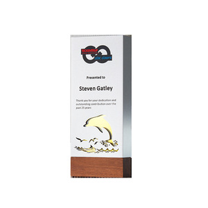 Trophée en bois créatif avec gravure laser et impression numérique, cadeau d'entreprise durable, plaque de récompense pour conférence - Product Image 3