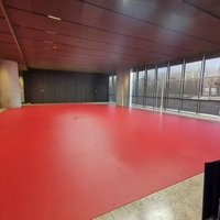 Tapete Profesional para Cancha de Tenis de Mesa, Rojo, 4.8mm, PVC, Antideslizante, Capa de Desgaste de 1.2mm, para Interiores