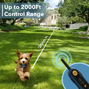 Patpet ปลอกคอฝึกสุนัขไฟฟ้า3โหมดฝึกความปลอดภัยปลอกคอไฟฟ้าชาร์จไฟได้ - Product Image 3