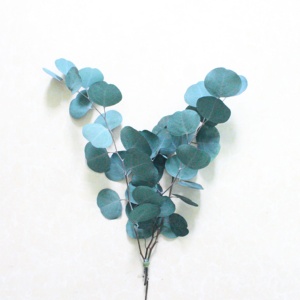 Décoration suspendue pour douche en <span class=keywords><strong>eucalyptus</strong></span> vert givré fait main, style Dollar d'argent, pour la maison, idéale pour la remise des diplômes - Product Image 5