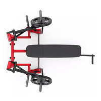 Équipement de presse de banc en acier de machine de gymnastique chargée par double plaque commerciale pour l'entraînement de force pour la sécurité d'exercice de dos de bras de poitrine