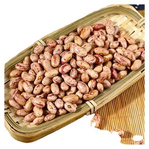 Vente en gros de haricots mouchetés légers à des prix modérés - Product Image 2