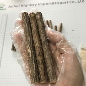 YH05 <span class=keywords><strong>Mu</strong></span> Tian Liao 0,5-0.7dia Natural SilverVine Wood Stick Pet Cat Herramienta de limpieza de dientes Actinidia Polygama Molar Rod Pure Toy - Product Image 4