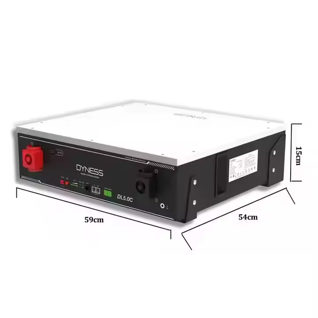 High Quality Dyness Lithium Battery DL5.0C-1C Battery 51.2V 100Ah 5.12kwh Battery