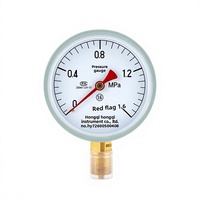 Standard Vacuum Pressure Gauge Y-100 0-1.6 MPa for Boiler Air Oil Water Pressure Zhejiang Hongqi