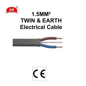 BS6004 kabel datar kembar kawat listrik tembaga abu-abu kawat listrik BVVB RVB TPS CE PVC dengan bumi 6242y 2.5mm terisolasi Xinhui