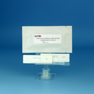 At Piroplasmosis hızlı Test kiti-T. equi & B. caballi antikorlarını algılar (50 Test/Kit) - Product Image 4