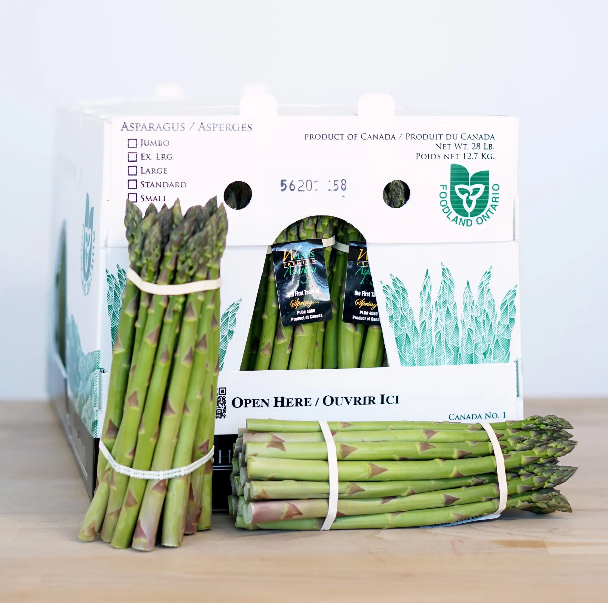 Frische mais süße pp wellpappe-Kunststoffplatte aus 100% neuem Material natürliche Obst- und Gemüseverpackungsboxen