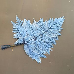 Feuilles <span class=keywords><strong>de</strong></span> <span class=keywords><strong>fougère</strong></span> préservées très demandées, bouquet <span class=keywords><strong>de</strong></span> feuilles <span class=keywords><strong>de</strong></span> <span class=keywords><strong>fougère</strong></span> alpine pour arrangement en vase, décoration ou création <span class=keywords><strong>de</strong></span> bouquets - Product Image 5