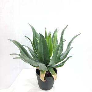 <span class=keywords><strong>Planta</strong></span> de plástico Artificial retardante de llama, simulación de bonsái decorativa, <span class=keywords><strong>maguey</strong></span> - Product Image 4