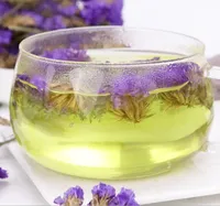 Wu Wang Wo Tisane de fleurs de Myosotis Sylvatica (Oubli-moi-pas) fraîches et brutes, à base de plantes chinoises, très vendue, pour la santé et l'amincissement, en sachet, boîte
