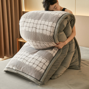 Bộ chăn ga gối đệm (vỏ chăn + mền bên trong) Bộ chăn ga gối đệm sang trọng dày 2 cái/bộ có thể giặt được - Product Image 2