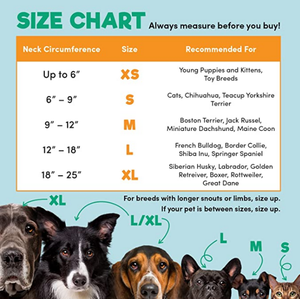 Collar inflable protector <span class=keywords><strong>para</strong></span> perros y gatos El collar de recuperación suave <span class=keywords><strong>para</strong></span> mascotas no bloquea la visión - Product Image 4