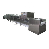 Automatische Tunnel Magnetron Drogen Sterilisatie Machine/Magnetron Fruit En Groente Droger/Magnetron Riem Droger