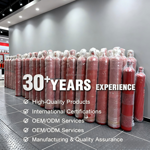 مدفع إطفاء حريق جيايي قابل لإعادة الشحن عالي السعة 10 كجم، طفاية حريق محمولة تعمل بثاني أكسيد الكربون مع ضمان 5 سنوات للمصانع - Product Image 5