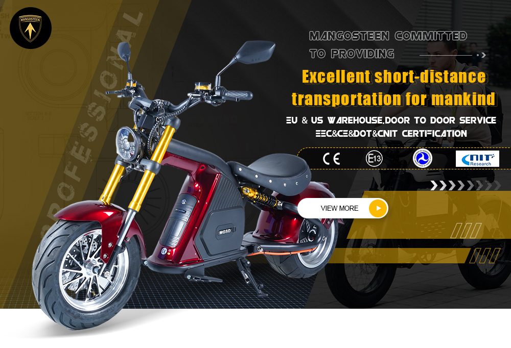 Mangosteen-M8S Citycoco EEC COC 72V 4000W35Ahファットタイヤ
