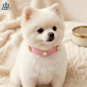 Wangwuwu <b>Pet</b> <b>Collar</b> For Dogs And Cats Jeweled Luxury White Leather All Seasons - Product Image 3