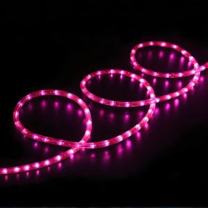 Commercial Grade <span class=keywords><strong>LED</strong></span> <span class=keywords><strong>Rope</strong></span> <span class=keywords><strong>Light</strong></span> com alto brilho para Outdoor Festival Decoração Iluminação