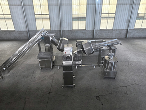 Línea de Producción de Condimentos, Línea de Polvo de Especias, Máquina Mezcladora y Moledora de Especias, Proyecto Llave en Mano - Product Image 3