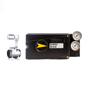 Original PMV D20 WIth Chongqing Chuanyi Automation - Product Image 1