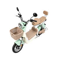 AFTFA Nouveau Vélo Électrique Urbain de Loisirs pour Adultes Little Mary 48V Moteur Central Sans Balais 350W 3 Vitesses Sur Mesure