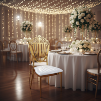 Chaise de salle à manger moderne en métal, empilable, pour la maison, le bureau, les banquets, les douches nuptiales, les mariages, les anniversaires, les fêtes en extérieur
