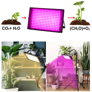 Lâmpada <span class=keywords><strong>LED</strong></span> de crescimento de plantas de espectro completo para cultivo de mudas, flores e suplementos de plantas, luz de cultivo - Product Image 6