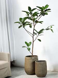 Baskom tanam bamboo, garis vertikal minimalis kelas atas lantai berdiri diameter besar magnesium lumpur bunga - Product Image 4