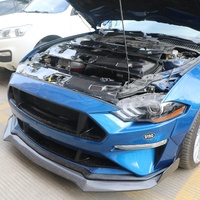 Plaque de refroidissement en Fiber de carbone, couvercle de radiateur de réservoir d'eau pour Ford Mustang Dark Horse S650 2024