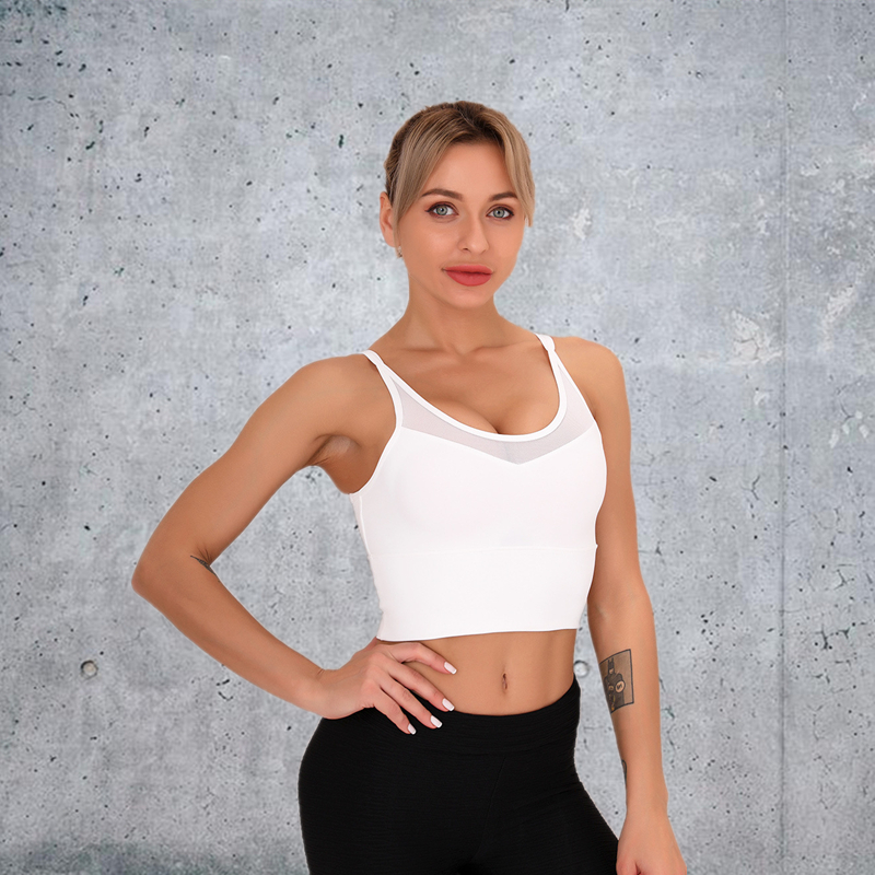 New arrived 6 colors Factory Wholesale Women Seamless Bandeau Strapless Girl Sexy Bra  Popular fitness