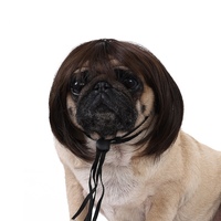 Perruques pour animaux de compagnie, queue de cheval dorée tendance, accessoires de Noël pour chats et chiens, pour Halloween et Noël