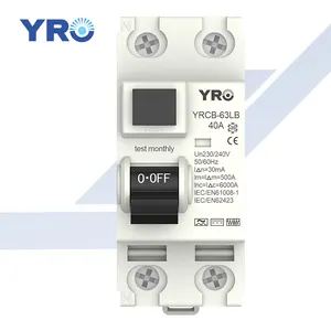 YRO Type B RCCB 63A 2 Pole ELCB Earth Leakage Circuit Breaker AC RCD 4P 40A 63A 30mA