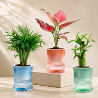 Pot de fleurs auto-arrosant en plastique côtelé coloré pour la décoration intérieure et extérieure, vente en gros