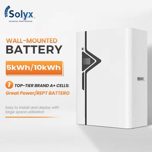 Batterie de stockage d'énergie domestique LiFePO4 51,2 V, prise en charge de la connexion parallèle 1-16, cellules de marque Tier 1, 8000 cycles, 5 kWh, 10 kWh, Powerwall solaire - Product Image 1