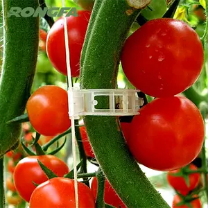 Clips de plástico para tomate y pepino