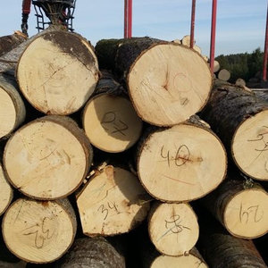 Bûches d'azobé africain de qualité export, bois dur, forte capacité de charge, expédition en vrac par conteneur - Product Image 5