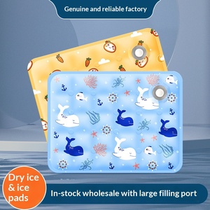 Wholesale OEM Supplier Waterproof Reusable Leakproof Summer <strong>Pet</strong> Cooling <strong>Mat</strong> Water Fill Ice Pad <strong>for</strong> Dogs and Cats - Product Image 5