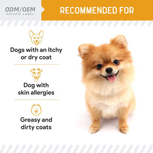 Huile de saumon norvégienne naturelle OEM/ODM pour chiens et chats, oméga-3 DHA, soutien de la peau et du pelage, fourrure saine, soulagement des démangeaisons, sans soins de santé - Product Image 4