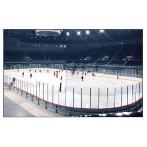 Uhmwpe mô phỏng Skateboard nhân tạo/tổng hợp ICE Rink - Product Image 3