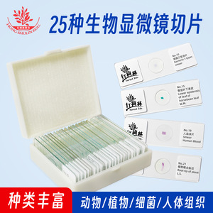 สไลด์แก้วใสสำหรับตัวอย่าง 25 ชนิด พร้อมฉลากเซลล์ที่เขียนด้วยภาษาจีนและภาษาอังกฤษ ขอบสไลด์เจียรเรียบ รุ่น J3228 สำหรับพืชและ - Product Image 4