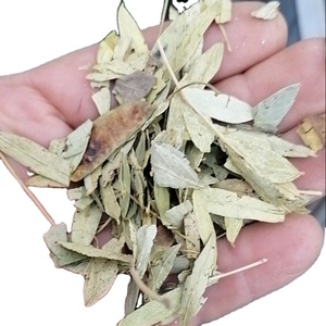 Senna-hojas secas verdes para té de hierbas, alta calidad, novedad - Product Image 1